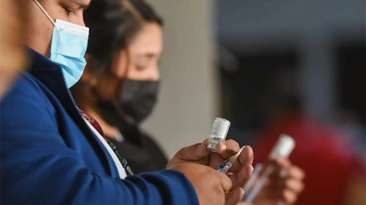 WhatsApp Image 2021-12-13 at 11.26.20 AM copia copia