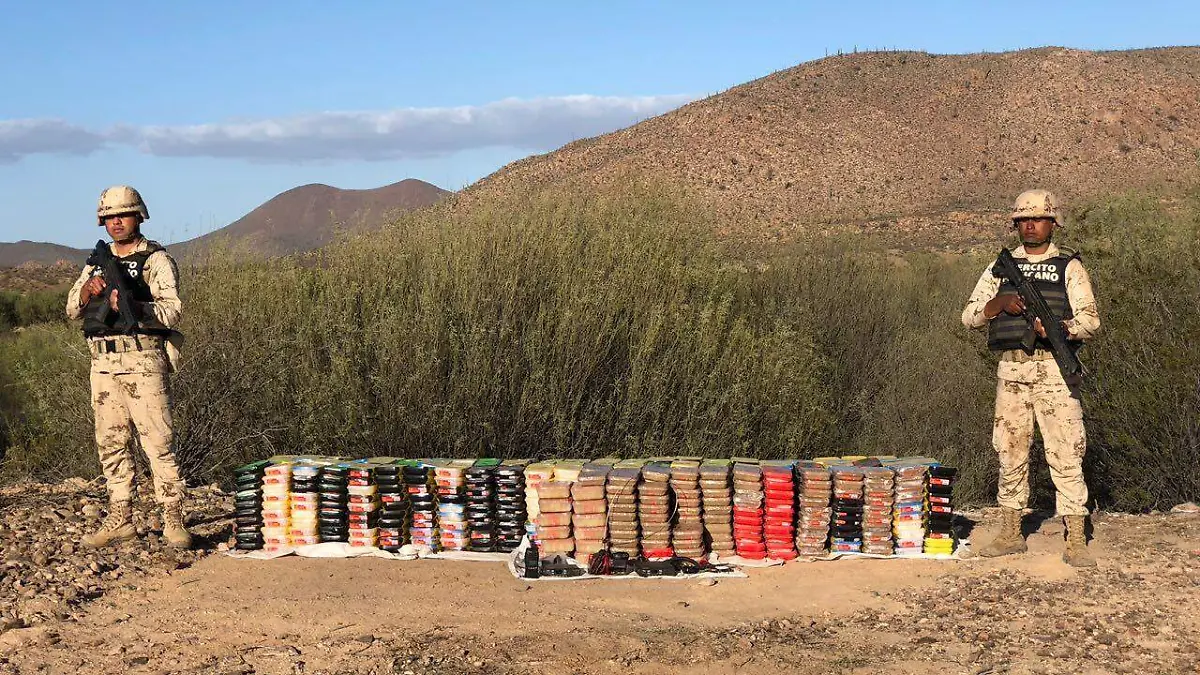 WhatsApp Image 2018-10-10 at 10.00.19 AM