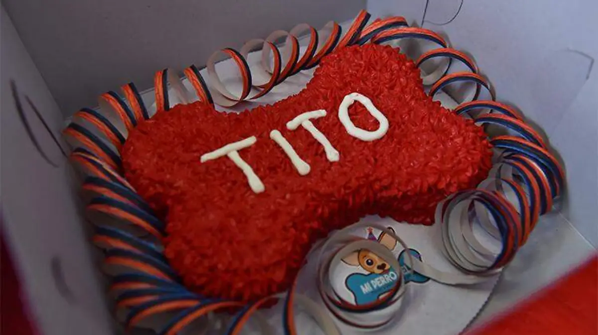 Una tradición para compartir con las mascotas de la casa 2