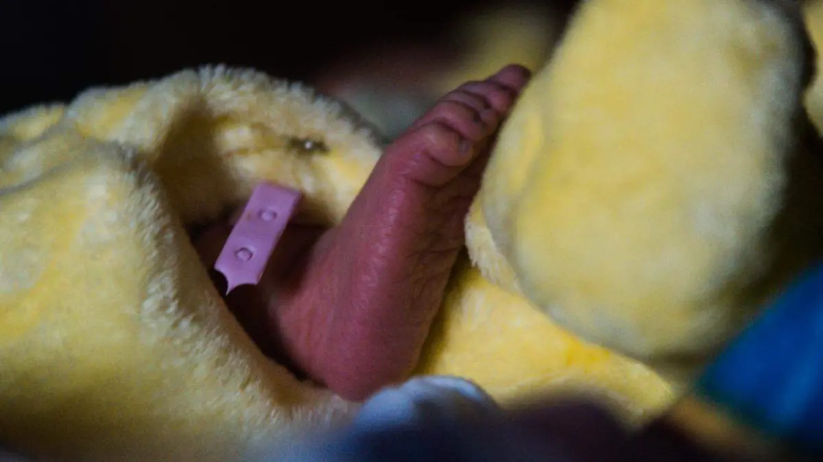 7e9aef1b-da0e-4b3f-bfc7-414bbc664d62