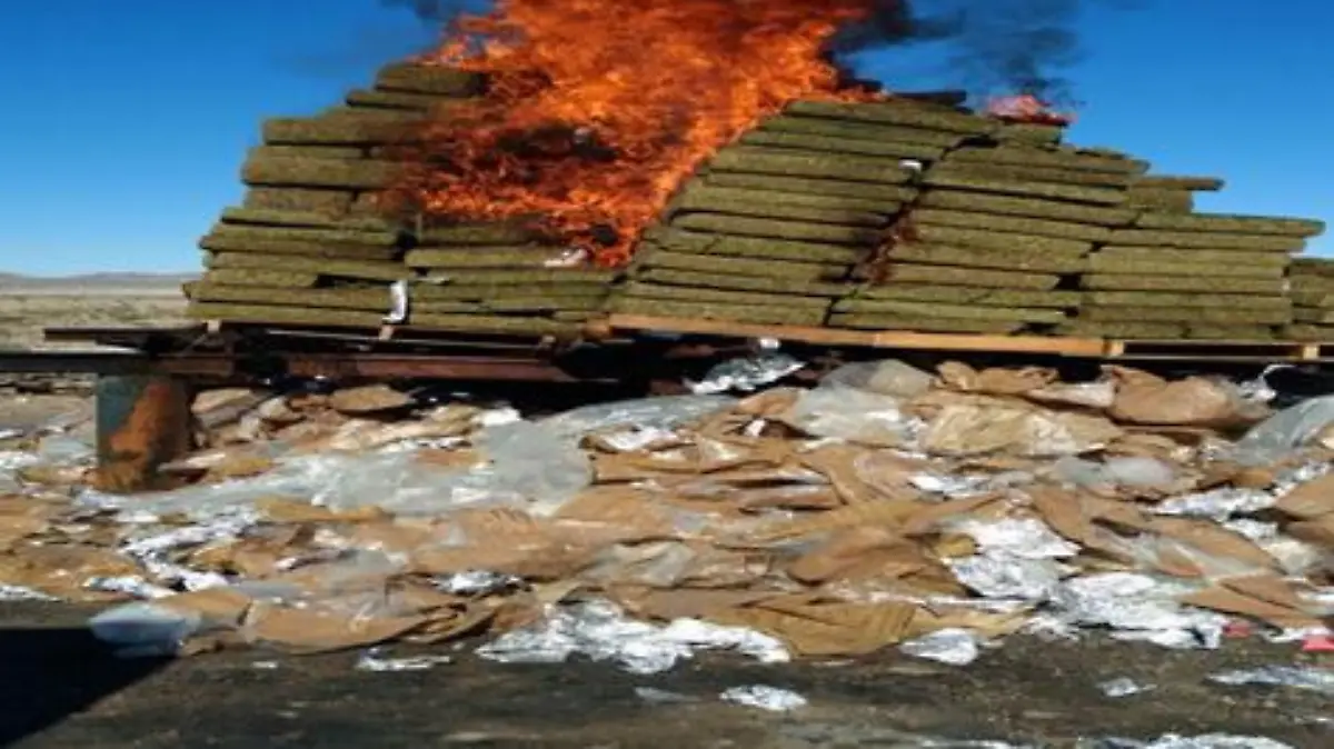 WhatsApp Image 2017-01-21 at 9.43