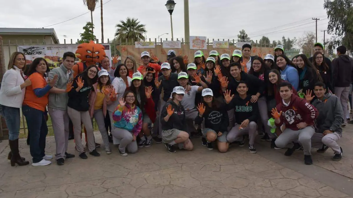 WhatsApp Image 2019-11-27 at 12.05.07 PM (1)