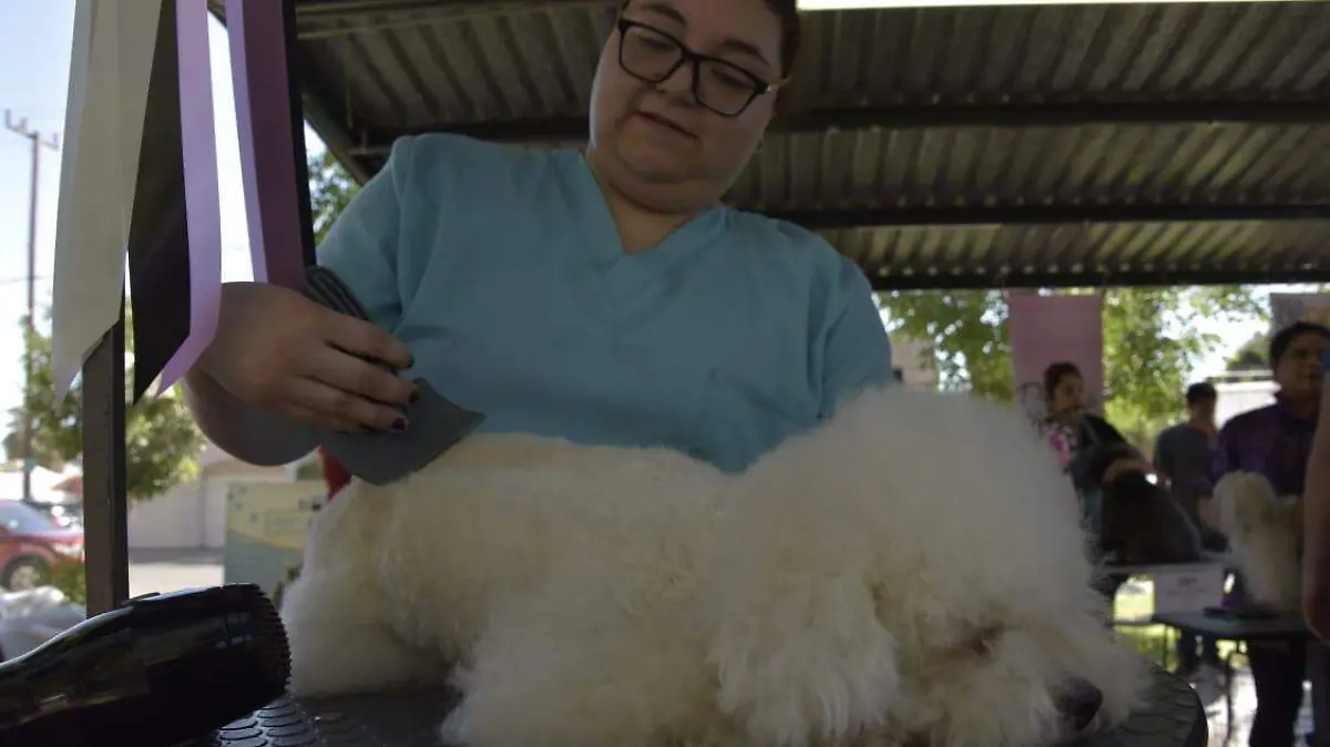 WhatsApp Image 2019-03-31 at 10.43.08