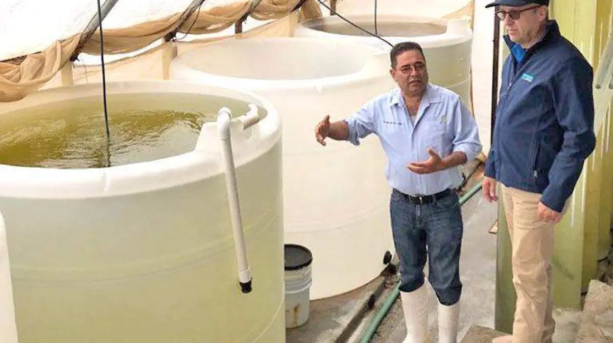 WhatsApp Image 2018-06-21 at 11.23.31