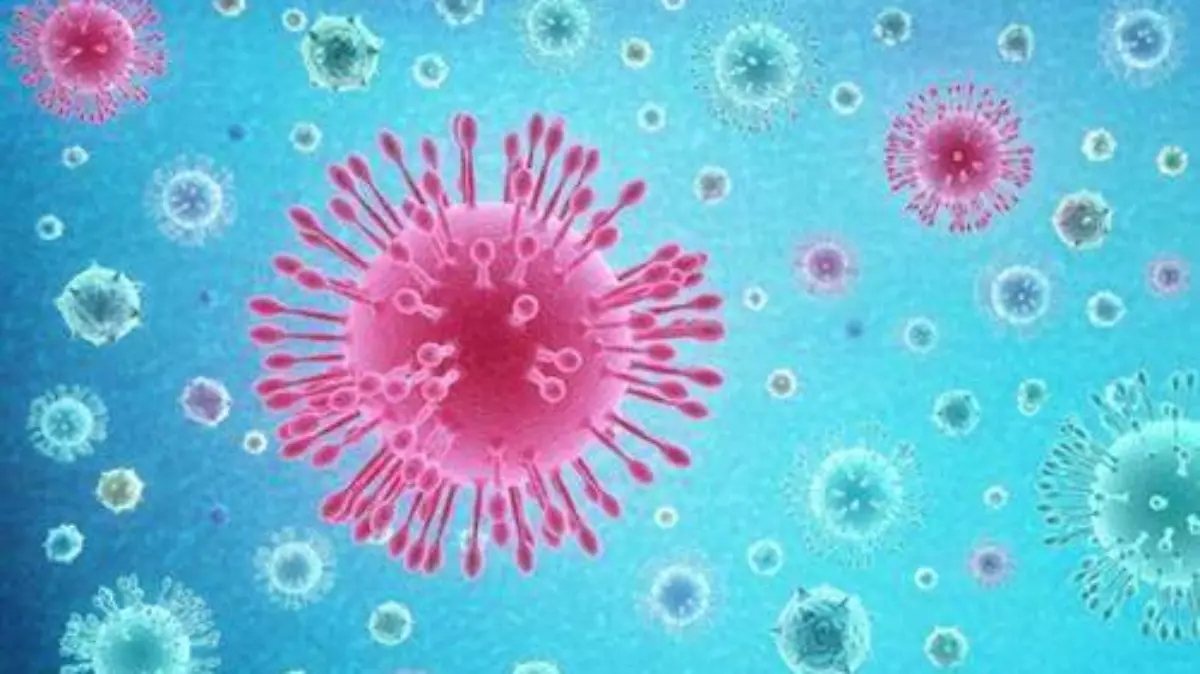 coronavirus