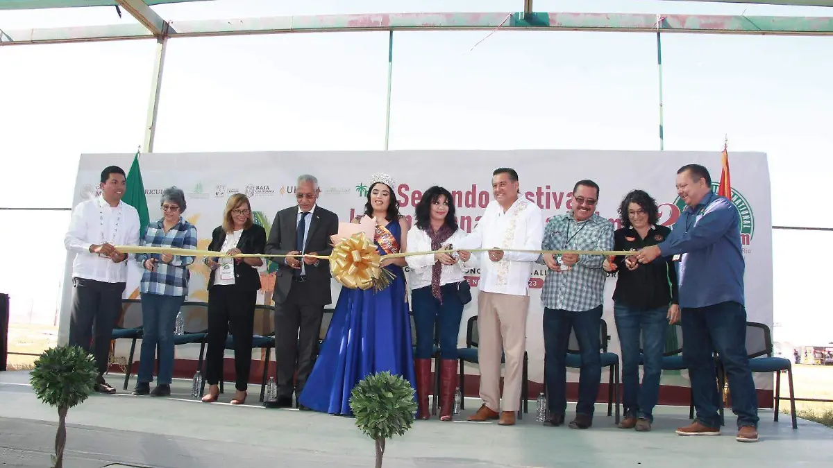 Ven en el Dátil potencial para exportación al mercado del medio oriente