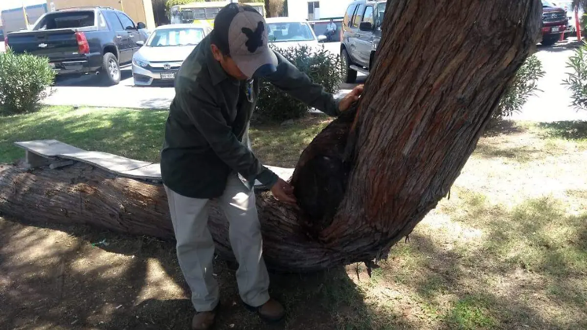 464a90f5-677a-41b7-9e01-c50c39c2f40a