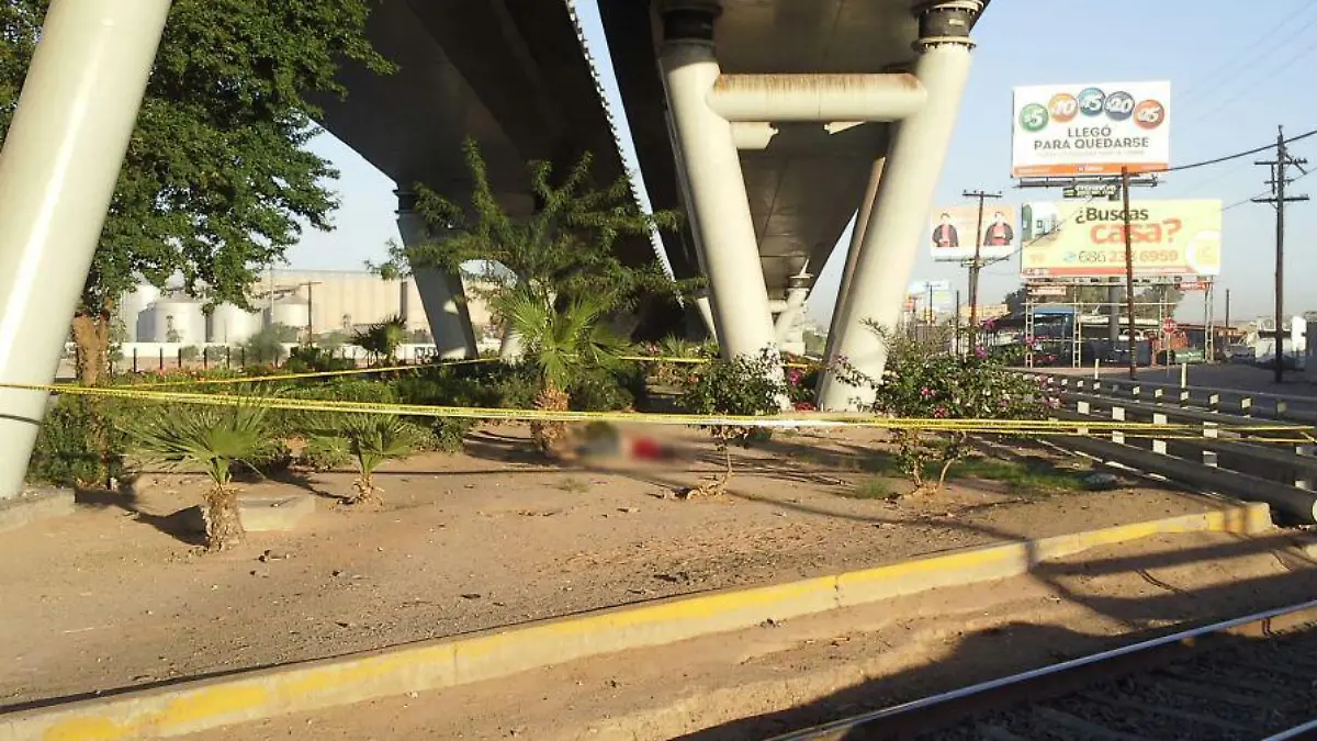 WhatsApp Image 2017-09-30 at 8.06