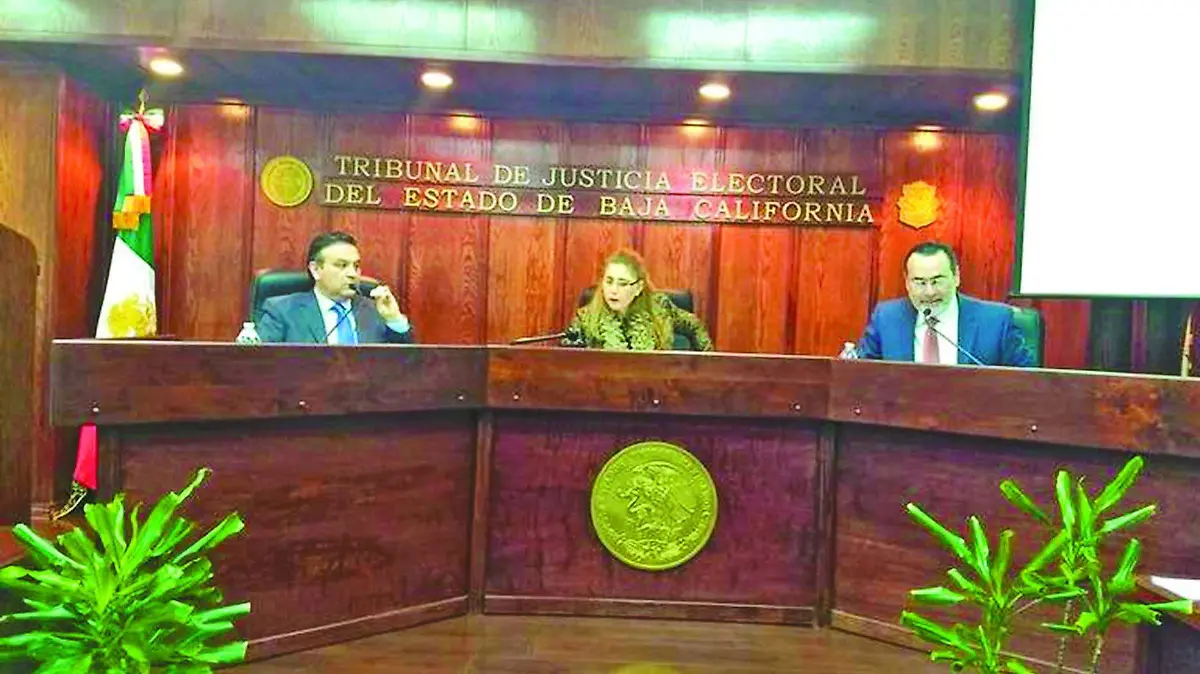 FOTO 02 Elección