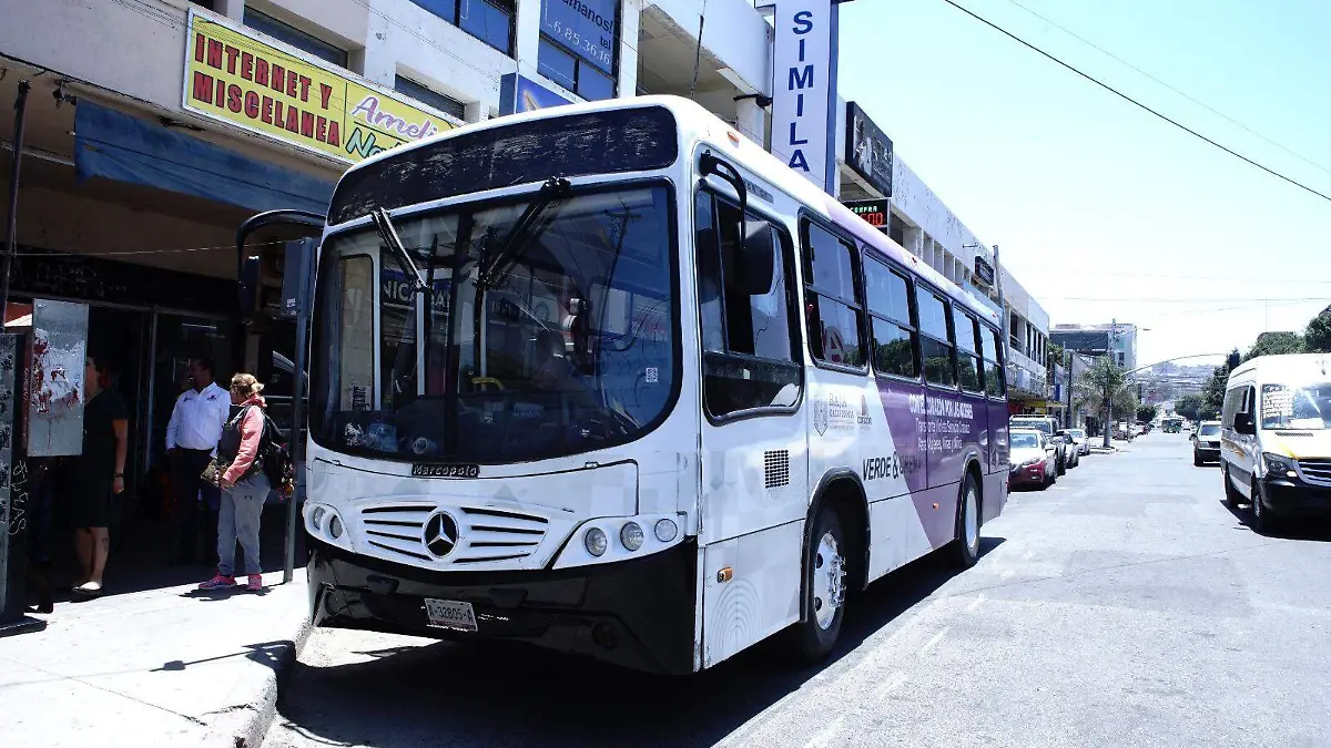 WhatsApp Image 2023-07-31 at 7.59.53 PM