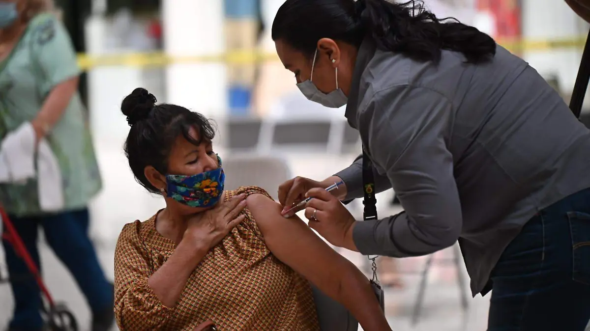 WhatsApp Image 2021-05-24 at 9.26.34 AM