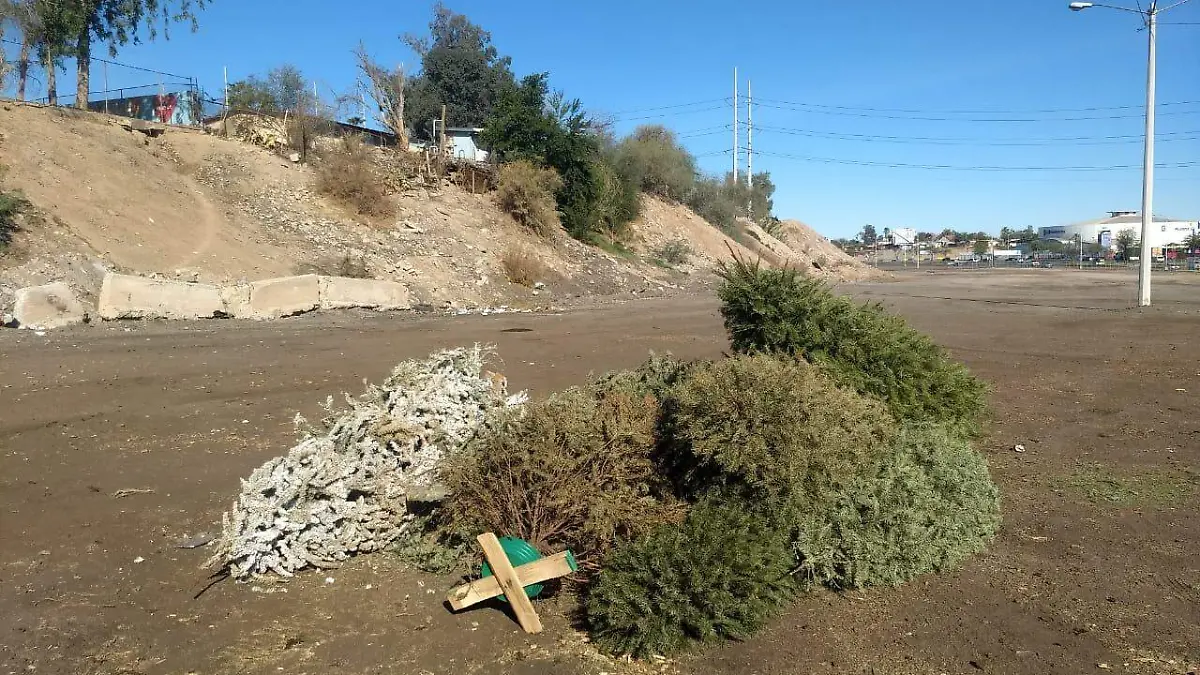 a344da8a-fd97-4771-9535-a12d7126d0b7