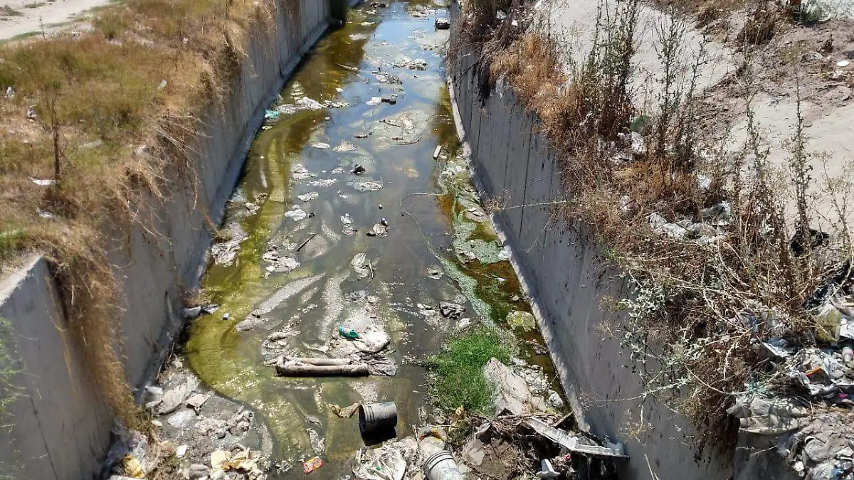 WhatsApp Image 2019-08-26 at 10.11.30 AM