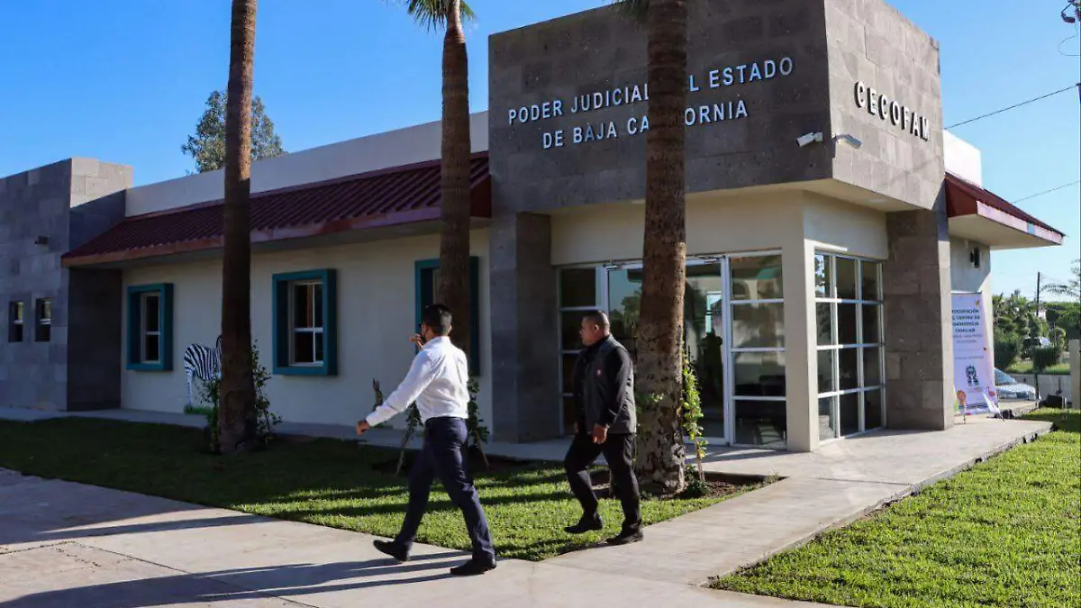 WhatsApp Image 2022-10-18 at 9.23.17 AM