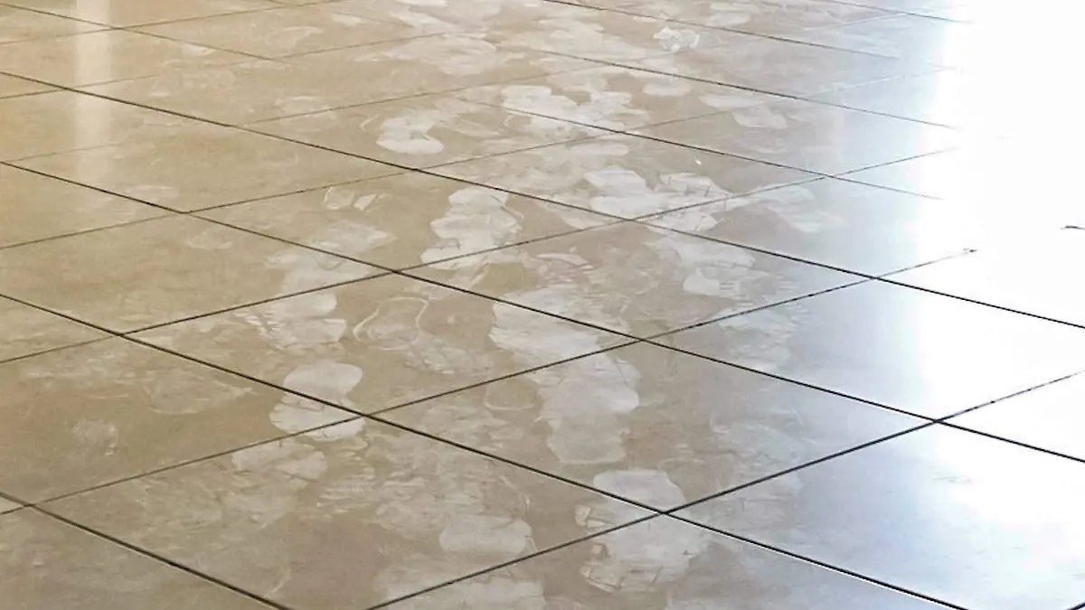 Ponen a limpiar patios a trabajadores del Ceart 