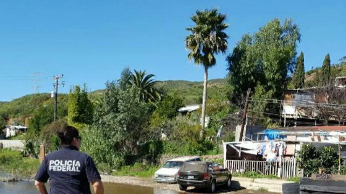 WhatsApp-Image-2017-02-25-at-12.35.44-PM