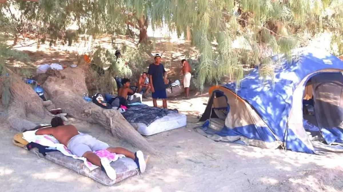 WhatsApp Image 2020-07-14 at 11.59.09 AM