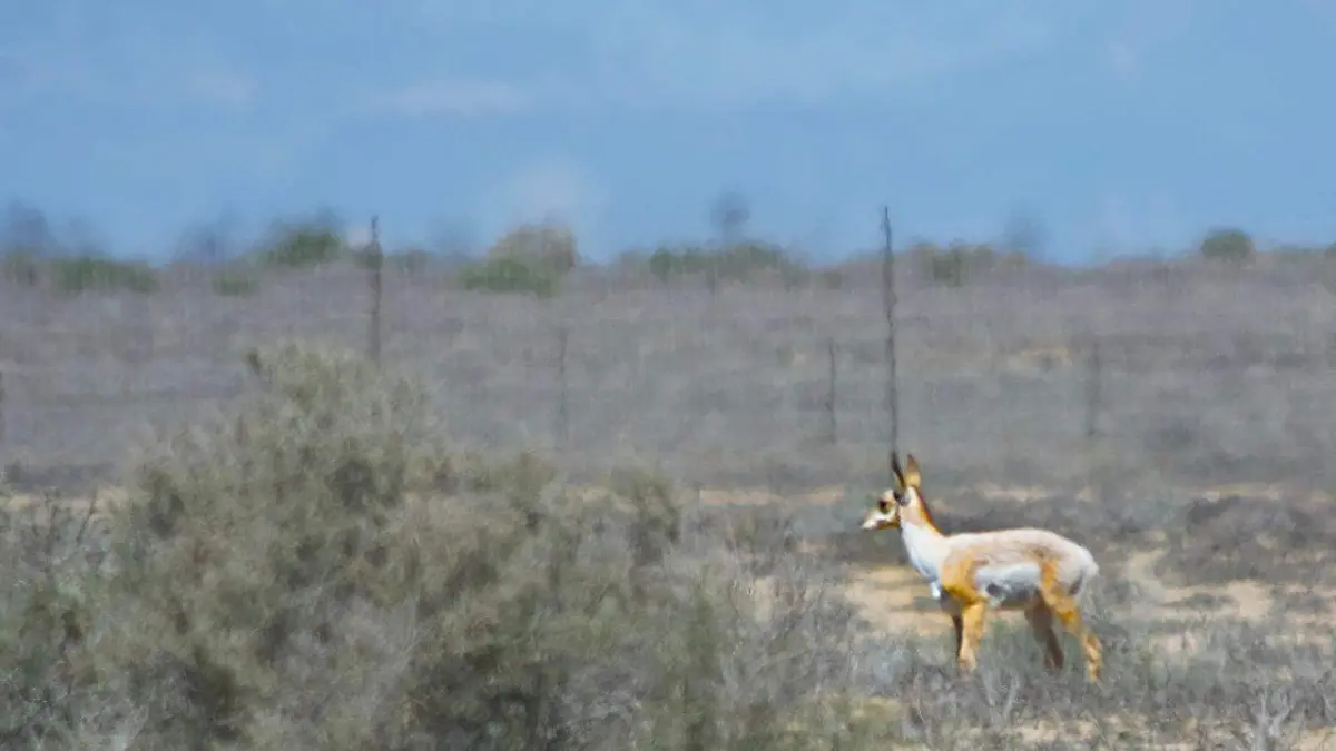 WhatsApp Image 2018-04-18 at 12.51.38 PM