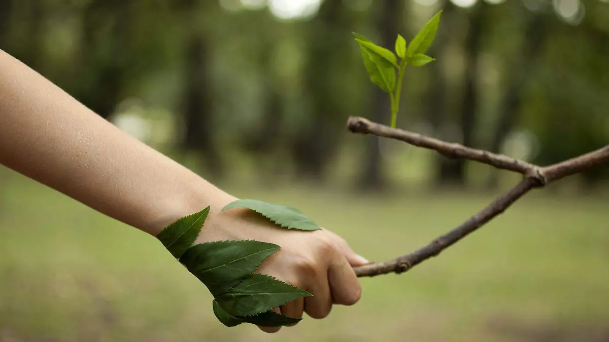 medio-ambiente-prioridad-la-boca-1899x1020