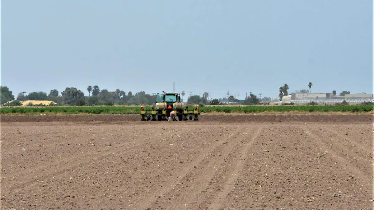 WhatsApp Image 2019-11-06 at 10.28.20 AM