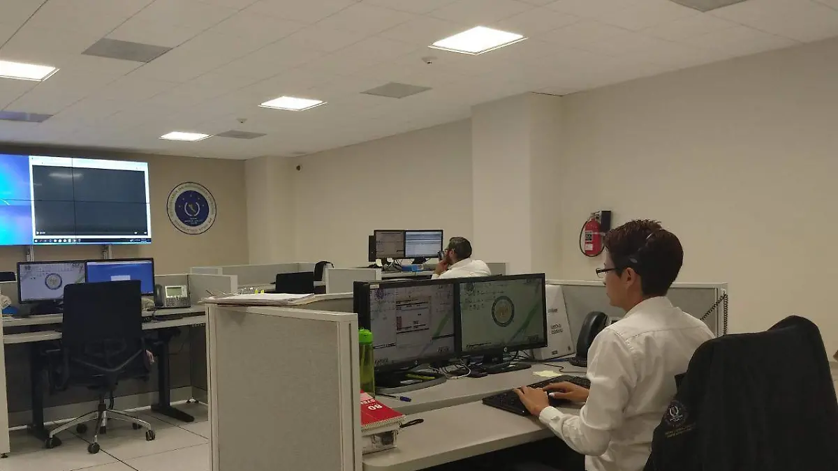 WhatsApp Image 2019-07-08 at 18.08.29