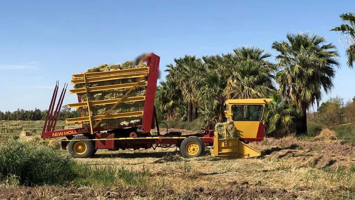 30515694_183710492431094_2445766876144336896_n