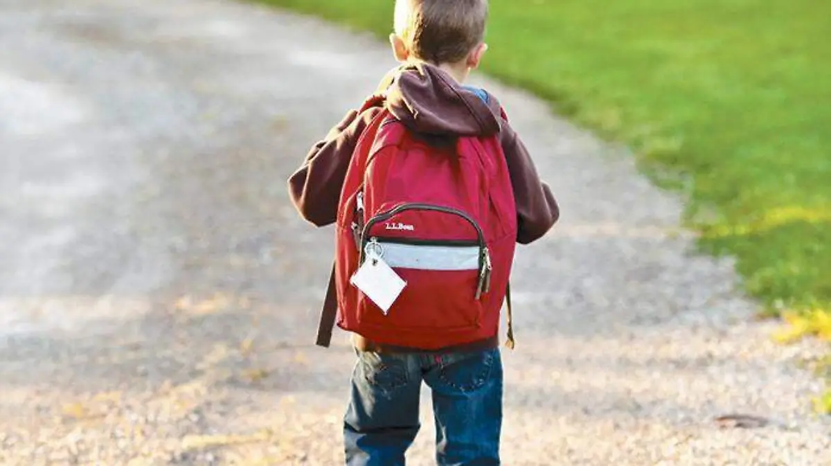school_backpack_childhood_education_bag_elementary_student_young-512209.jpg!d