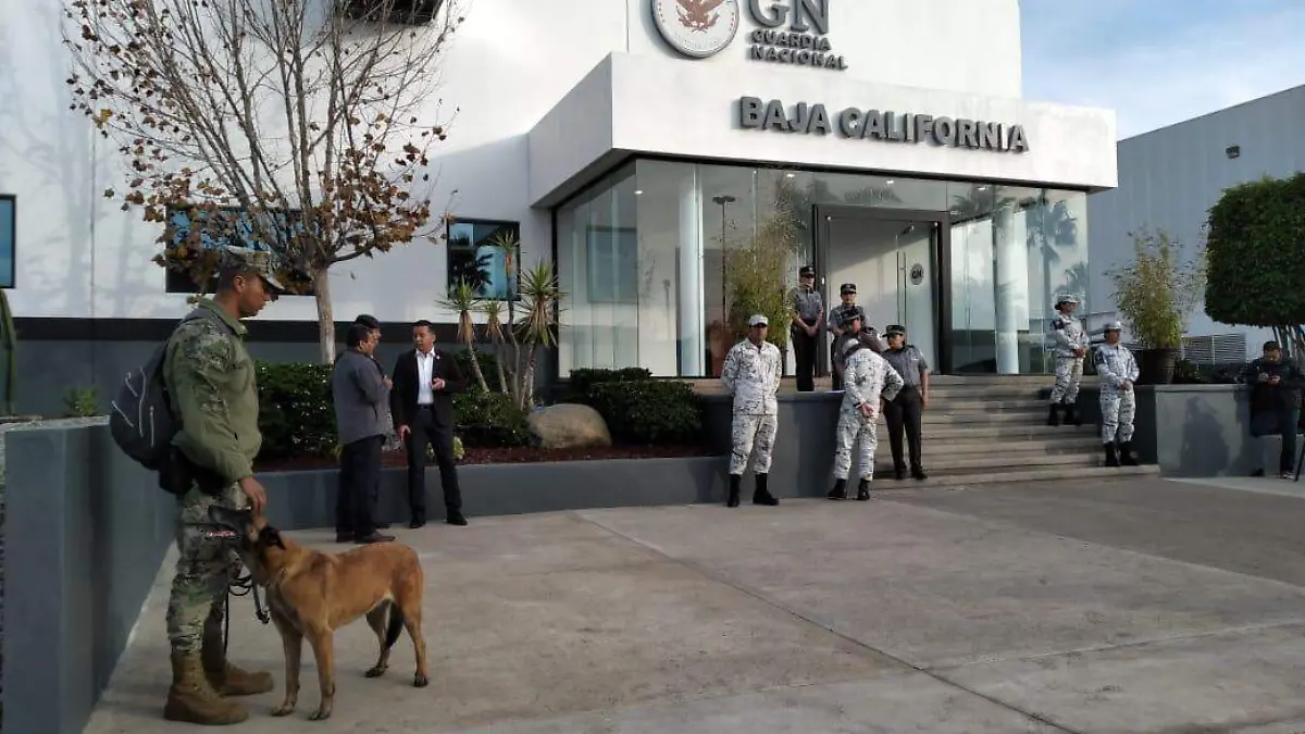 WhatsApp Image 2020-01-22 at 10.49.11 AM