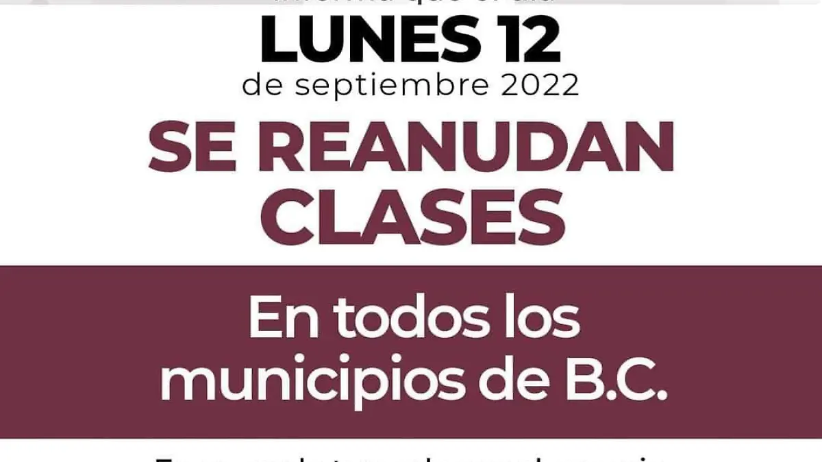 WhatsApp Image 2022-09-11 at 3.31.41 PM