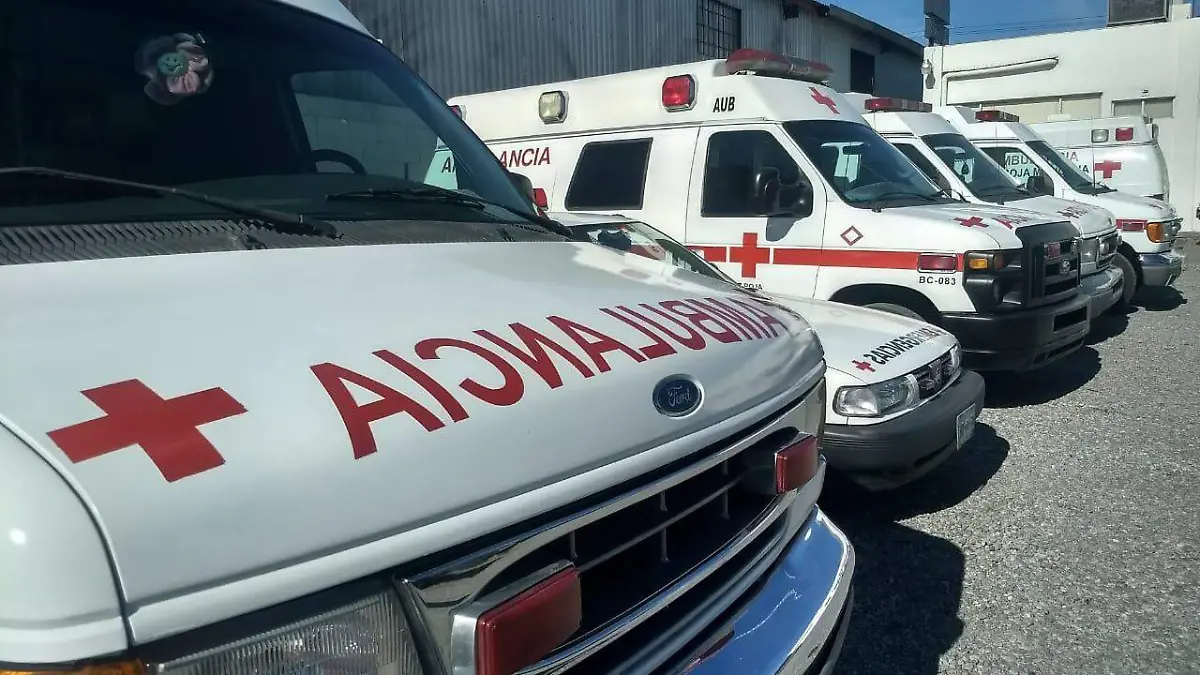 WhatsApp Image 2020-08-04 at 11.44.36 AM