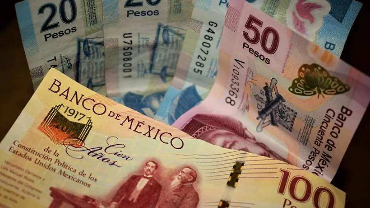 1568826261_119778_1568826612_noticia_normal