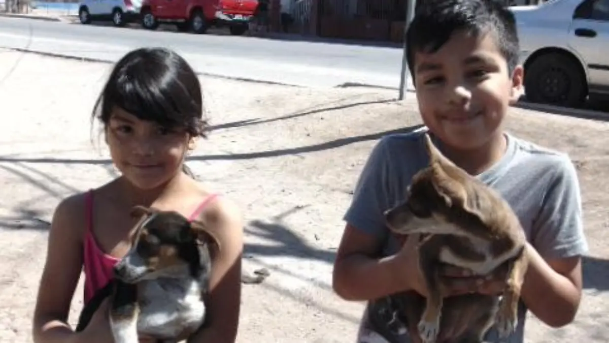 WhatsApp Image 2017-03-26 at 2.03