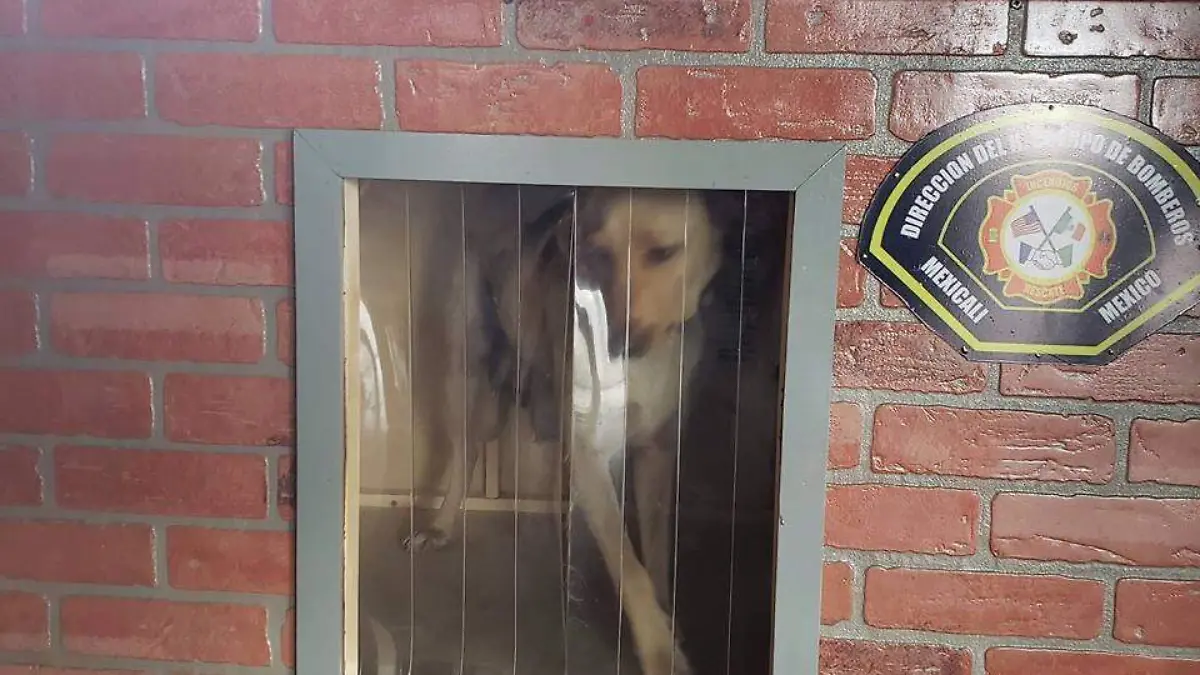 cabe3ffa-970e-4af4-a002-9d4df182f8f1