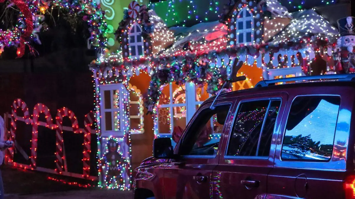 Navidad en el bosque 