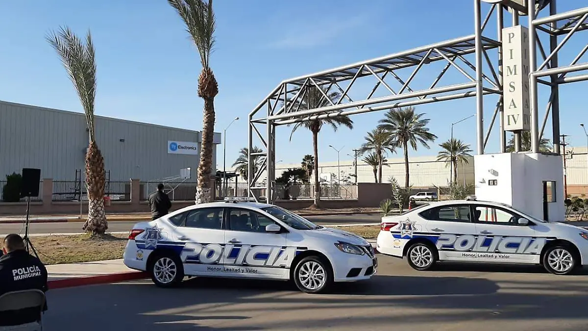 79392806_2859606710750413_2462367010642722816_o