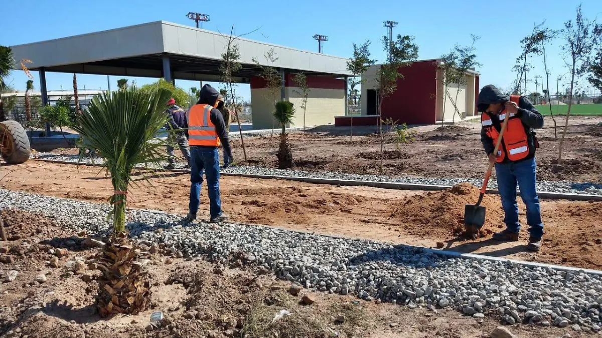 WhatsApp Image 2020-03-27 at 10.17.35 AM