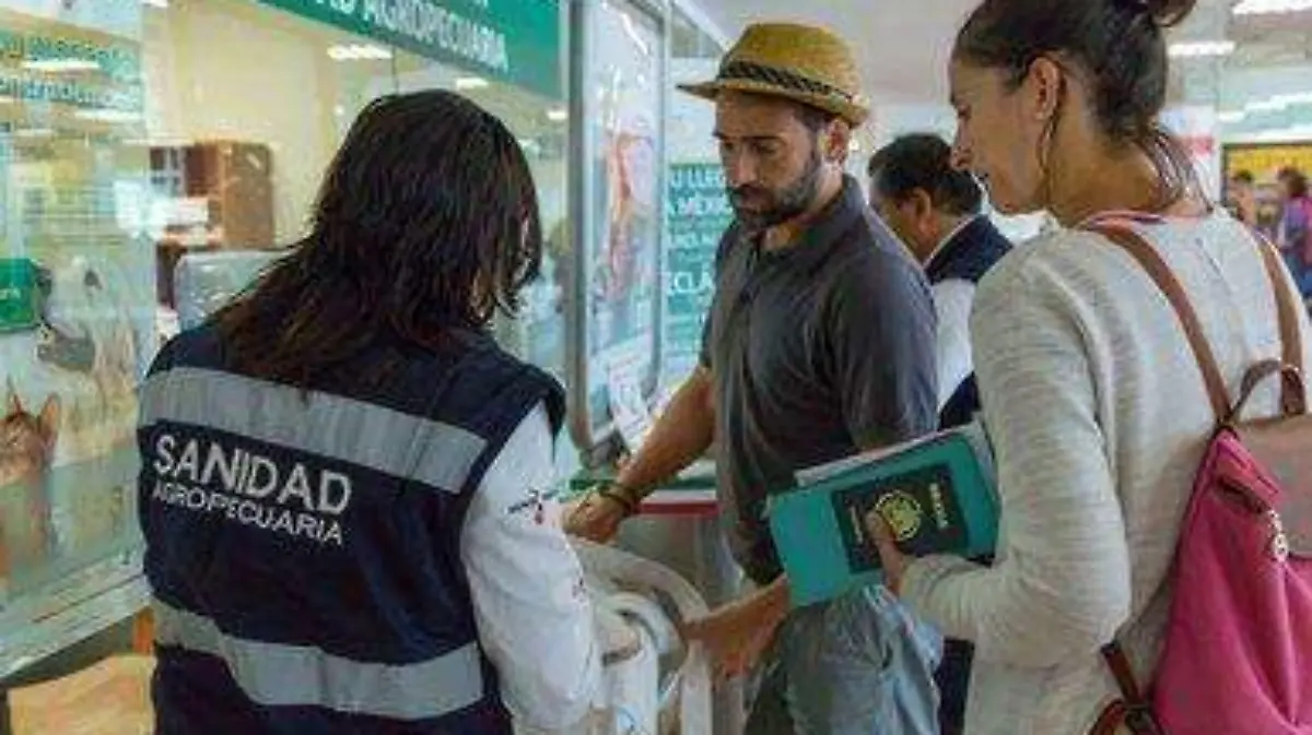 13885619-b281-49b3-8e61-157db04f72de