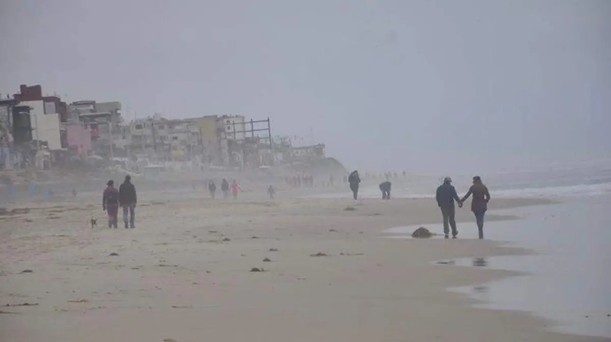 WhatsApp Image 2019-07-08 at 17.53.58