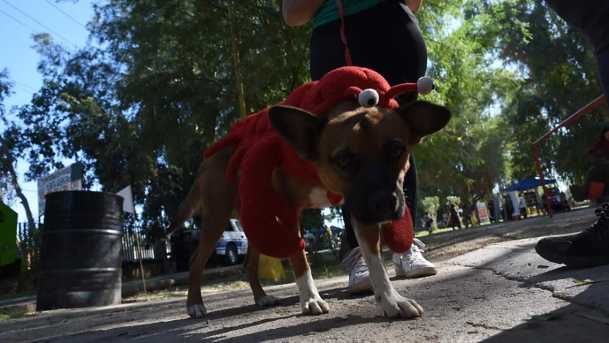 WhatsApp Image 2019-10-13 at 1.37.39 PM