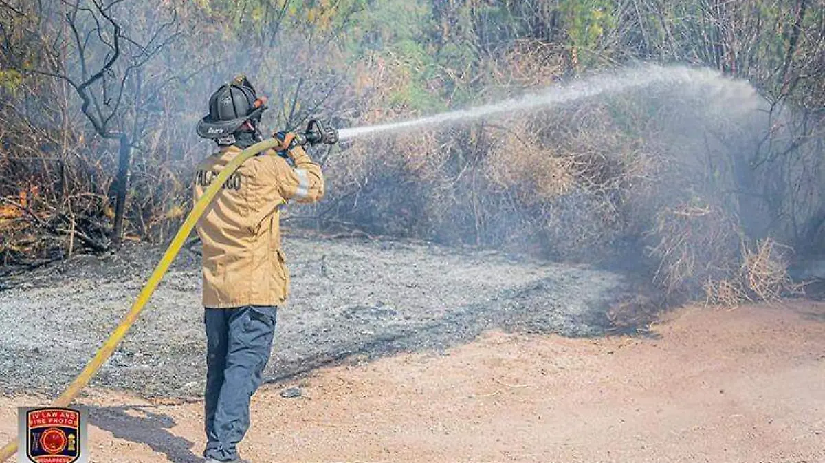 WhatsApp Image 2022-04-20 at 9.05.33 AM