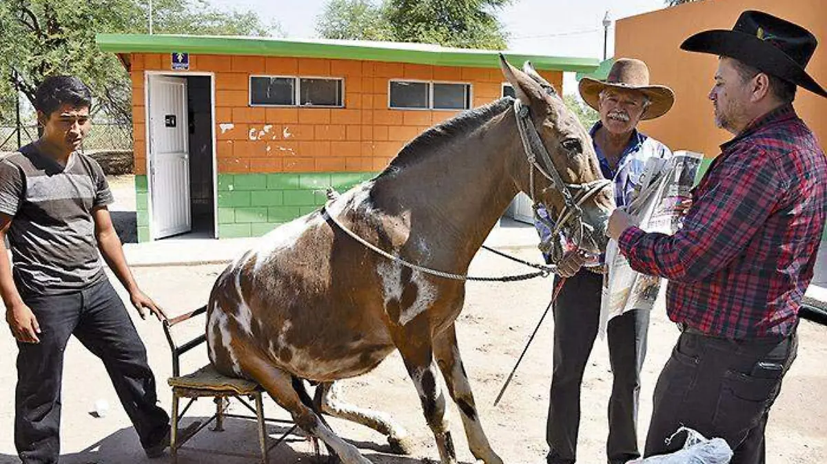 P6 Cabalgata Foto César Valdez