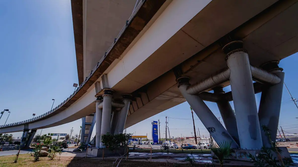 WhatsApp Image 2022-07-15 at 12.46.16 PM