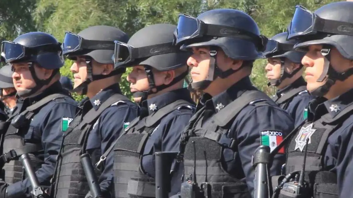 POLIS