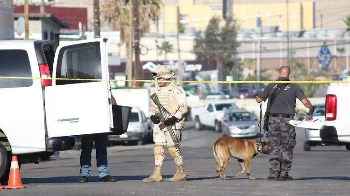 policiaca