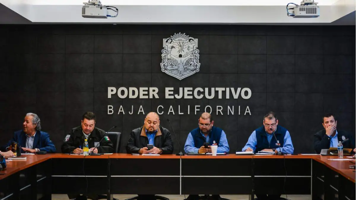 WhatsApp Image 2018-11-26 at 11.11.43