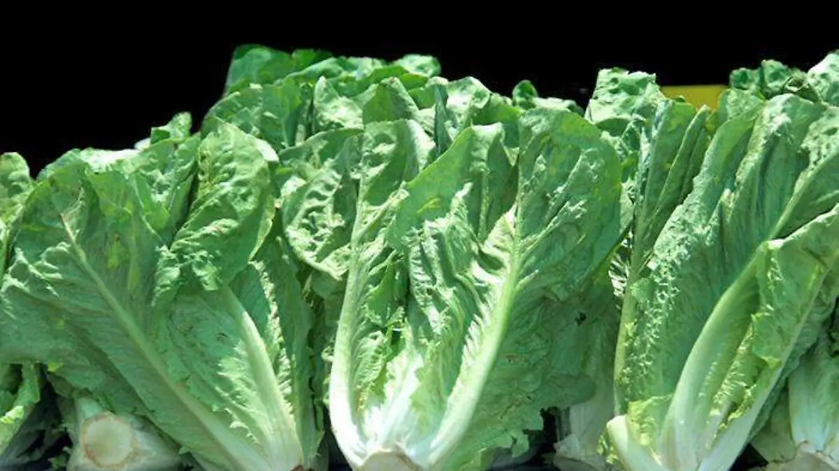 a1d47d7e-ff0e-4624-a903-40817ab73bcc