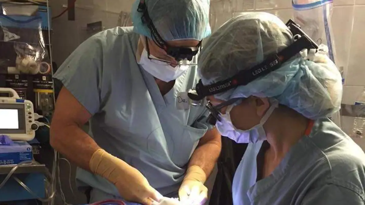 LOC020305EG  CIRUGÍAS