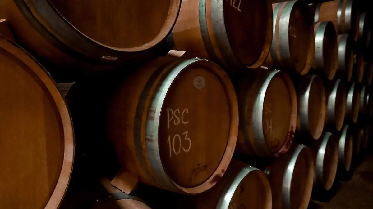 ruta del vino - vitivinicola - vinos - barril de vino