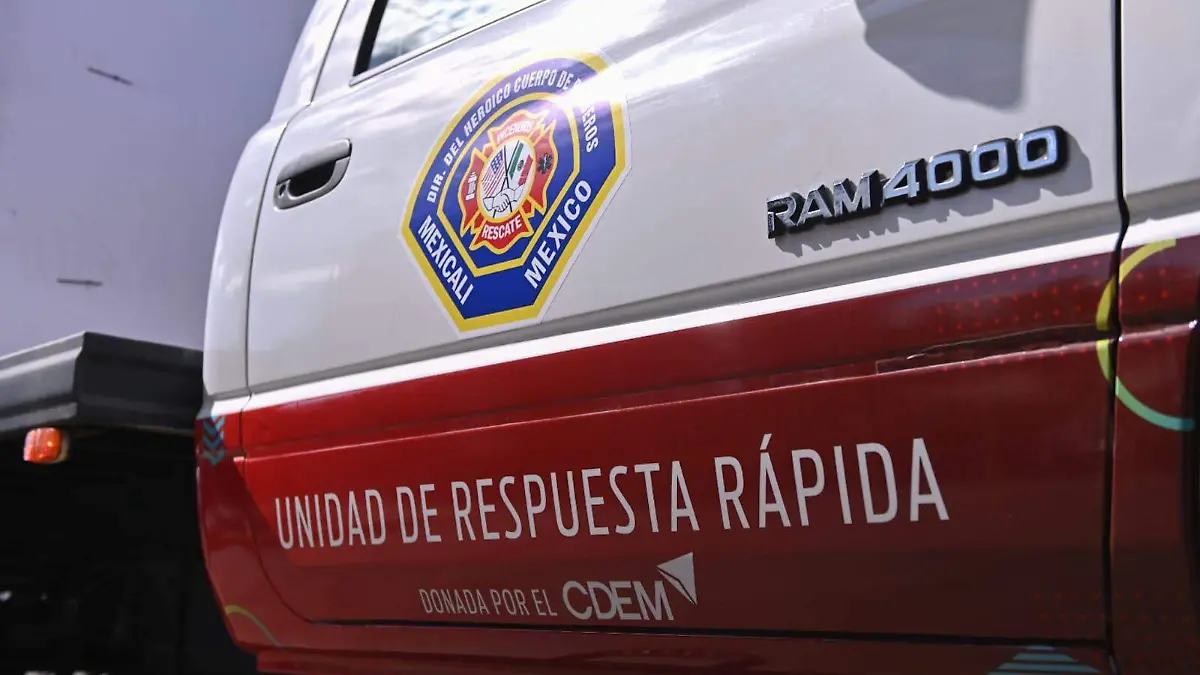 WhatsApp Image 2022-02-23 at 2.37.11 PM