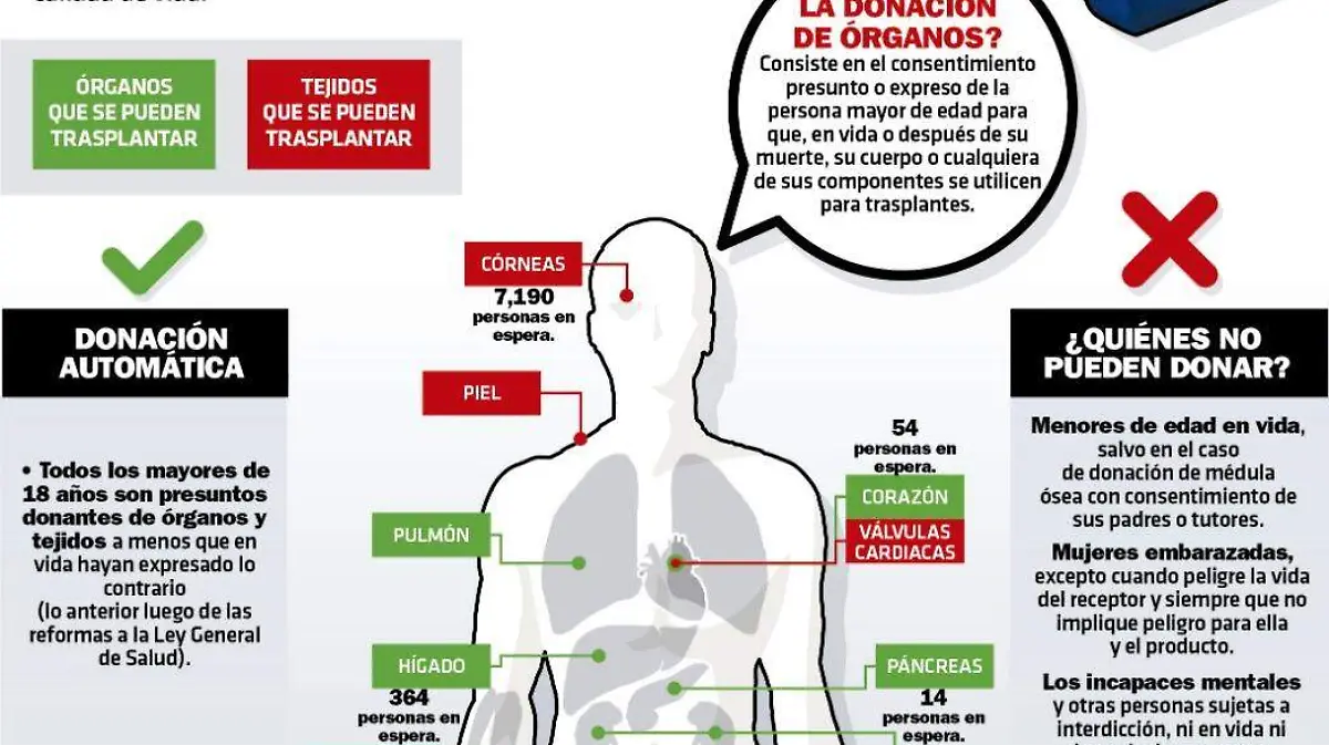 Infografía Trasplante